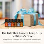 Luxurious Home Fragrance Diffuser - OTFPH Series