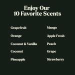 Fruity Scented Oils Gift Set - 10 Premium Oils