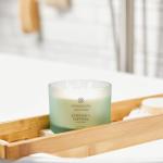 Chesapeake Bay Candle Balance + Harmony Water Lily Pear