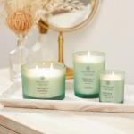 Chesapeake Bay Candle Balance + Harmony Water Lily Pear
