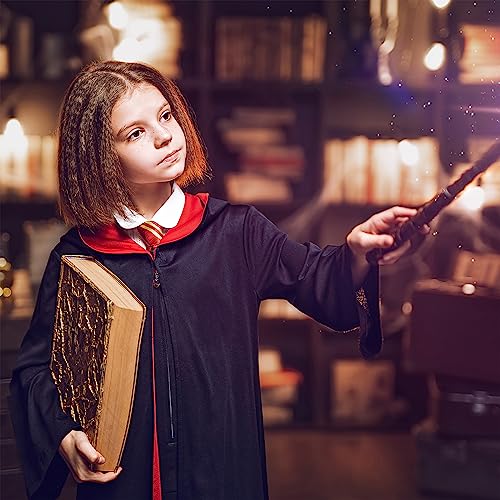 Harry Potter Wizard School Cosplay Tie Set