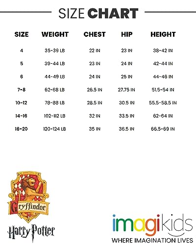 Gryffindor Fleece Hoodie for Little Boys