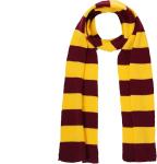 Magician Hooded Robes with Scarf for Teens