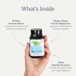 Zenwise Digestive Enzymes – 180 Veggie Capsules