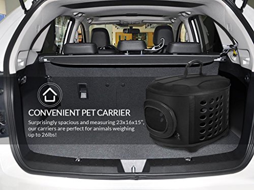 Large 23-Inch Hard Cover Pet Carrier for Cats