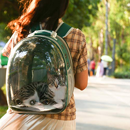 Expandable Cat Backpack Carrier for Travel & Hiking