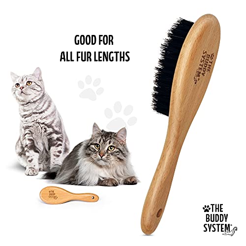Bengal Cat Brush with Wild Boar Bristles