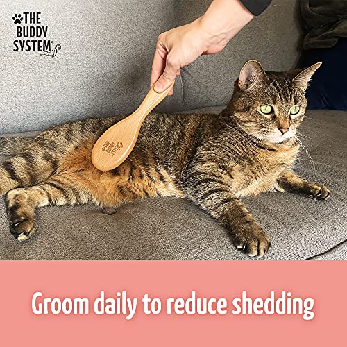 Bengal Cat Brush with Wild Boar Bristles