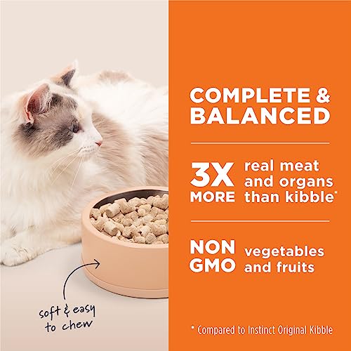 Freeze Dried Raw Meals for Bengal Cats