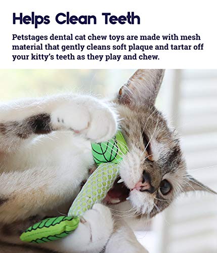 Petstages Mint Stick Dental Chew Toy for Cats