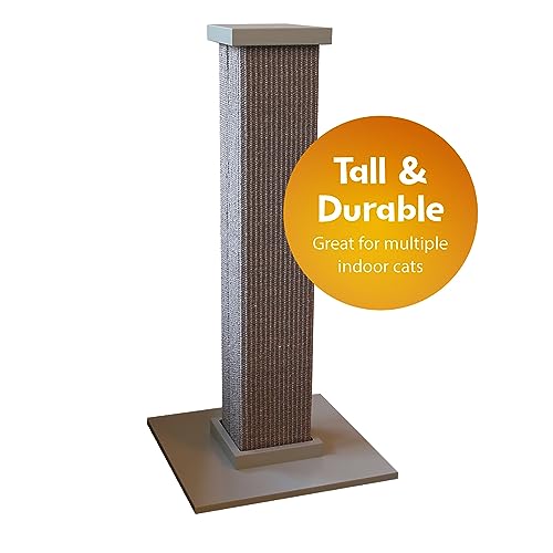 Large Gray Scratching Post for Bengal Cats