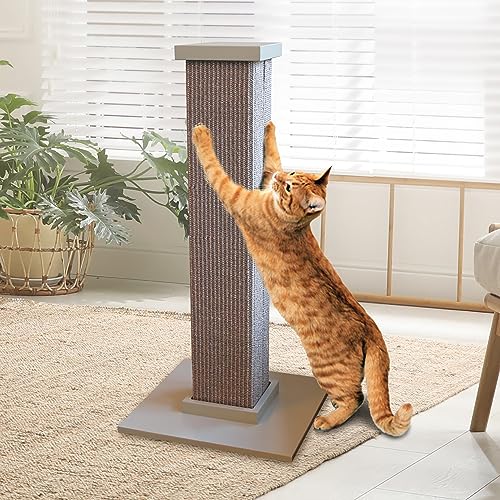 Large Gray Scratching Post for Bengal Cats