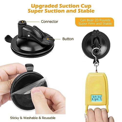 Interactive 3-in-1 Cat Toy Set for Bengals