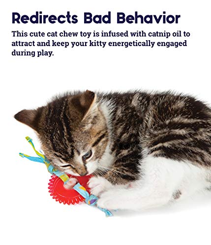Petstages Catnip Chew Wheel for Dental Health