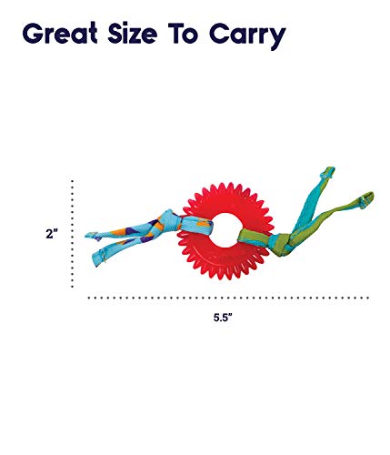 Petstages Catnip Chew Wheel for Dental Health