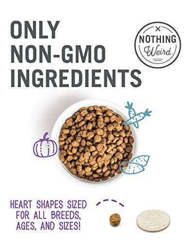 I And Love And You Surf ‘N Chick Cat Food