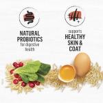 Purina Beyond Salmon & Brown Rice Cat Food