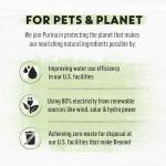 Purina Beyond Salmon & Brown Rice Cat Food