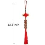 Feng Shui Coins for Wealth and Success - 5 Pieces