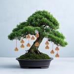 Set of 6 Brass I Ching Coins for Luck