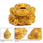Feng Shui Money Frog for Attracting Wealth