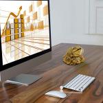 Feng Shui Money Frog for Attracting Wealth