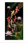 Koi Fish Feng Shui Canvas Art - 9 Fish
