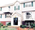 Brass Convex Bagua Mirror for Feng Shui 2.5 Inch