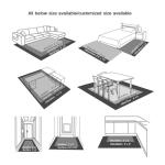 Chinese Calligraphy Koi Fish Area Rug - 2x3