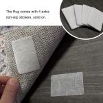 Chinese Calligraphy Koi Fish Area Rug - 2x3