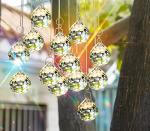 Crystal Ball Prisms for Feng Shui and Sunlight