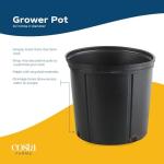 Peace Lily Live Plant - 3-Foot Indoor Charm