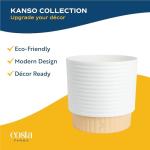 Peace Lily Plant in Decorative Pot - Air Purifier