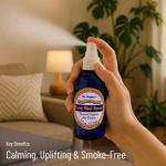 Dr. Singha’s Feng Shui Air Detox Spray