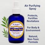 Dr. Singha’s Feng Shui Air Detox Spray