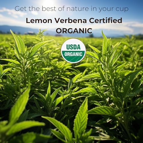 Organic Lemon Verbena Tea - 30 Pyramid Bags