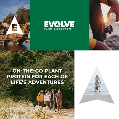 Evolve Double Chocolate Plant-Based Protein Shake, 12 Pack