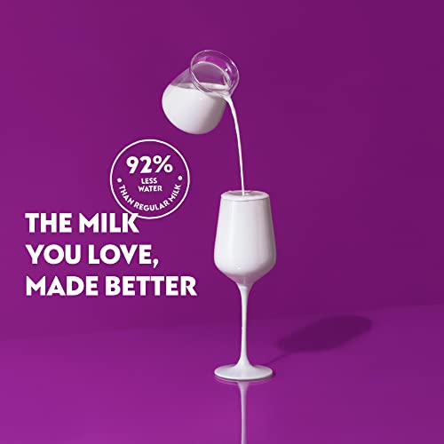 NotMilk Plant-Based Milk - Lactose-Free, 12-Pack