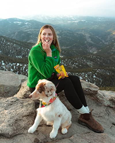 Crispy Freeze-Dried Fruit Variety Pack (16 Count)