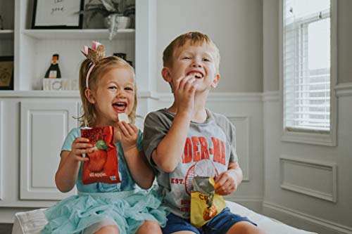 Crispy Freeze-Dried Fruit Variety Pack (16 Count)