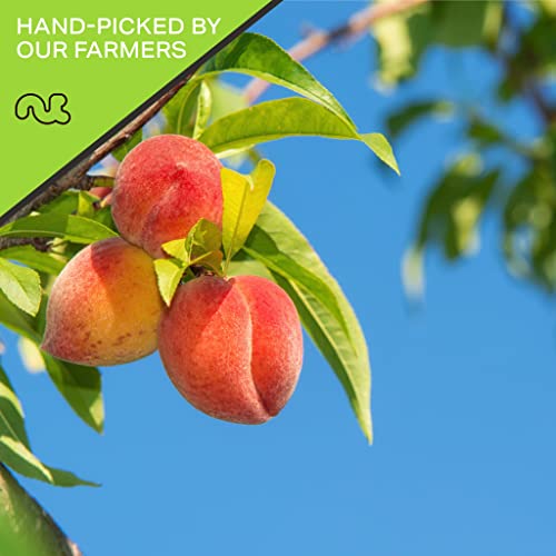 California Sun-Dried Peaches - No Sugar Added