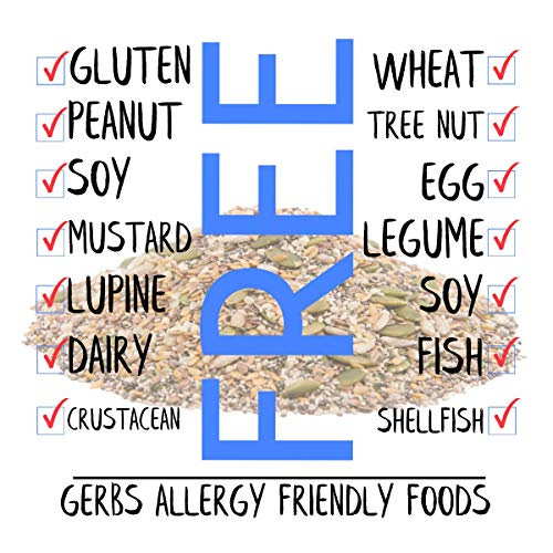Gerbs Super 7 Seed Snack Mix - 1 LB