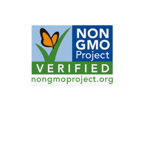 Organic Roasted & Salted Pumpkin Seeds, Non-GMO