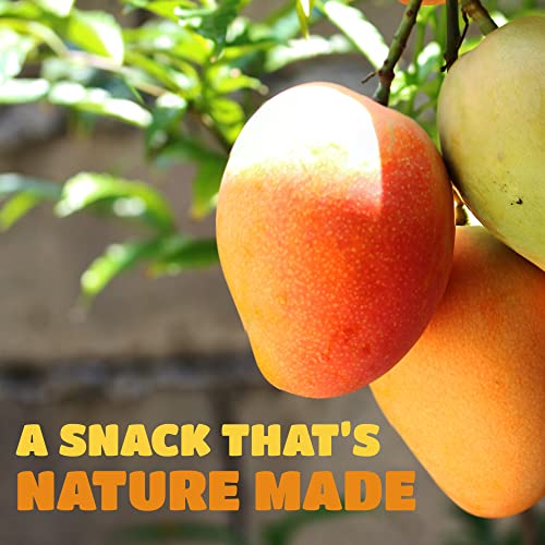 Soft & Juicy Dried Mango Slices - Low Sugar