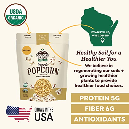 Organic Yellow Popcorn Kernels - 3lb Bulk