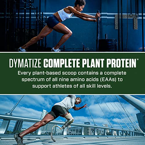 Dymatize Creamy Chocolate Vegan Protein Powder