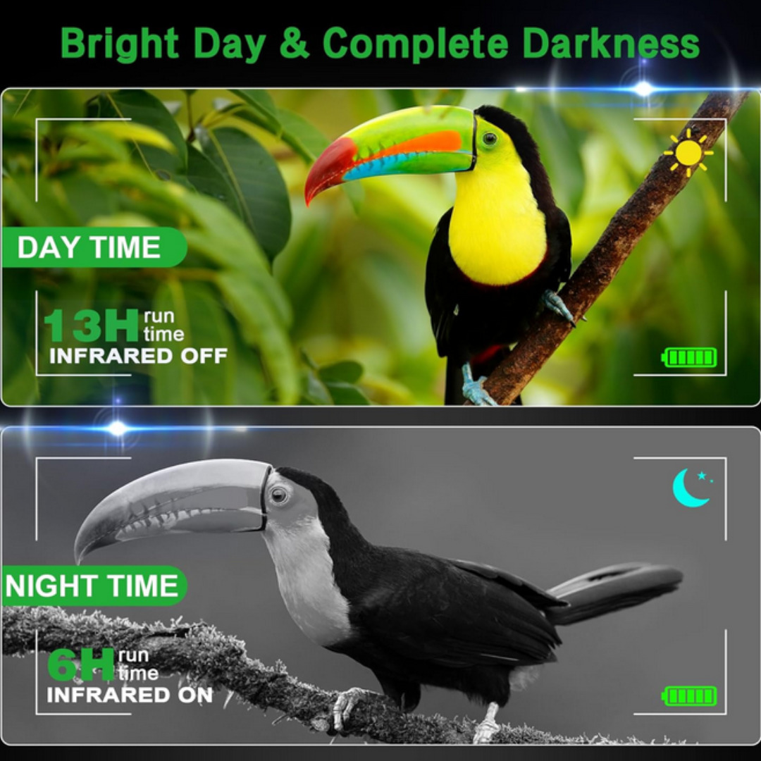 GTHUNDER Digital Night Vision Binoculars with HD Video