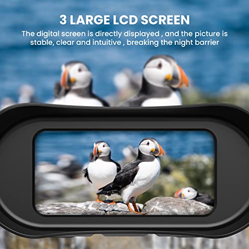 4K Digital Infrared Night Vision Binoculars