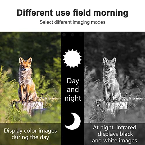 SKYXIU 1080p Digital Night Vision Monocular