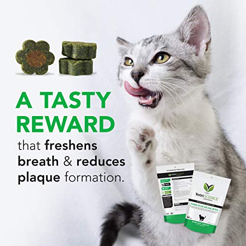 VetriScience Perio Plus Cat Dental Chews, Chicken Flavor